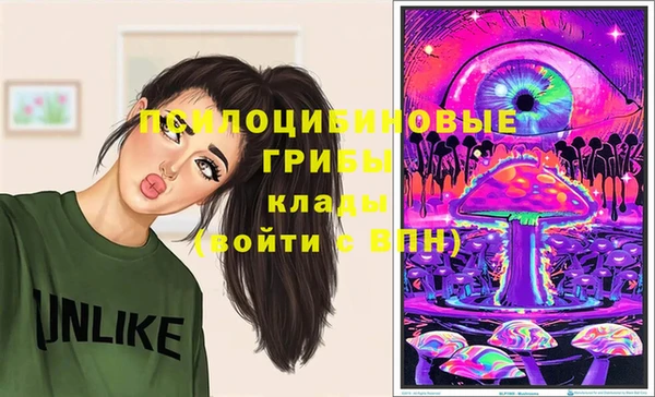 mdpv Пересвет