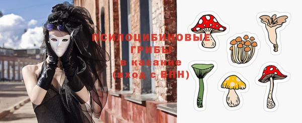 не бодяженный Переславль-Залесский