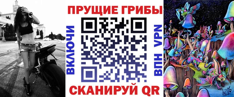 купить  сайты  Урень  Галлюциногенные грибы мицелий 