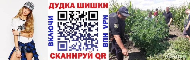 Бошки Шишки конопля  Урень 